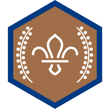 chief-scout-award-bronze